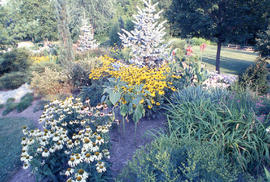 Photograph of landscaped gardens in the arboretum