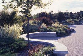 Photograph of a beautifully landscaped garden in the arboretum