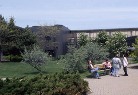 Photograph of people meeting in the courtyard at Lakeshore Campus