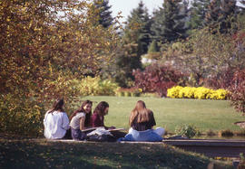 Photograph of a group of girls in discussion on a grassy area in the Arboretum