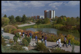 Photograph of people walking by the pond in the Arboretum