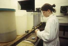 Photograph of student in the Photography program at work