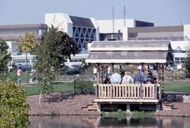 Photograph of a Group of Seniors Under the Gazebo
