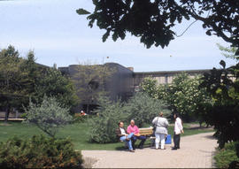 Photograph of campus-goers in the courtyard at Lakeshore Campus