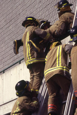 A photograph of Firefighting students climbing a ladder