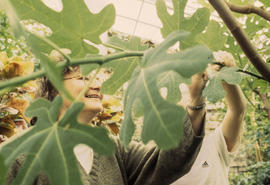 A photograph of Landscape students in the greenhouse