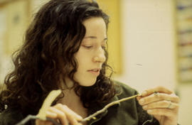 A photograph of a Floriculture student examining a twig