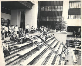 Photograph of a Humber Staff Picnic