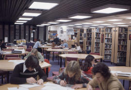 Photograph of Students Studying in the North Library
