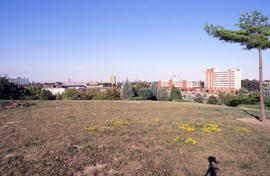 Photograph of a panoramic view of the north campus from the Nature Centre
