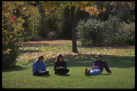 Photograph of students in the arboretum