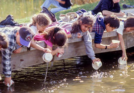 Photograph of children playing in the water in a pond