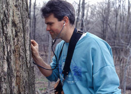Photograph of a student listening to a tree with a stethoscope in the arboretum