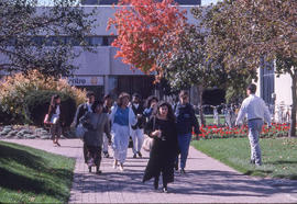 Photograph of the walkway from the college registration entrance