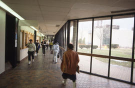 Photograph of the main hallway outside the D building