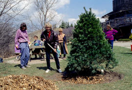 Photograph of Christine Little, and others, planting a tree in the Arboretum