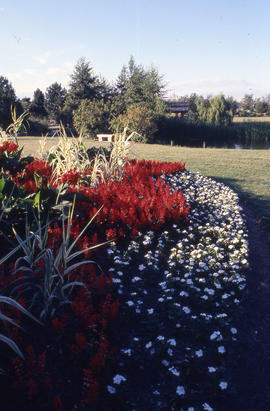 Photograph of a landscaped garden in the arboretum