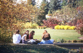 Photograph of a group of girls in discussion on a grassy area in the arboretum