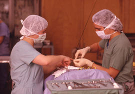 Photograph of students performing an Operating Room Nurse training exercise