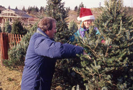 Photograph of Someone Picking Out a Christmas Tree at the Arboretum