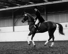 Photograph of an Equine Student Riding a Horse