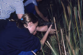 Photograph of students fishing for tadpoles