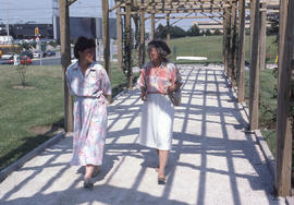 Photograph of people walking the landscaped demonstration gardens walkway