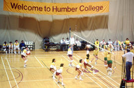 Photograph of a volleyball game in the Gordon Wragg Athletic Centre