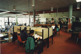 Photograph of students studying in the library at Lakeshore campus