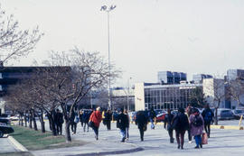 Photograph of students walking towards campus buildings