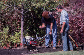 Photograph of groundskeepers in the Arboretum