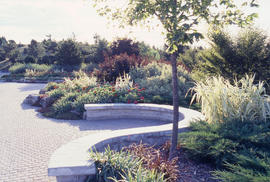 Photograph of a garden in the arboretum