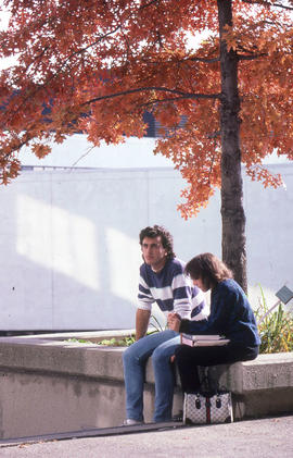Photograph of students sitting under a tree by the E building stairwell