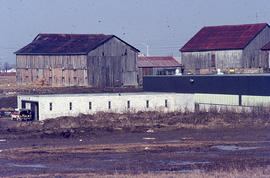 Photograph of the Equine Centre and the Original Barns