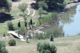 Photograph of three people riding bicycles in the Arboretum