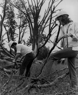 Photograph of Landscaping Students Pruning Trees