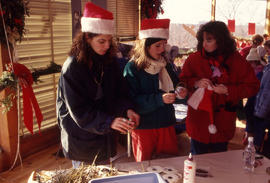 Photograph of People at the Christmas Tree Sale and Family Event