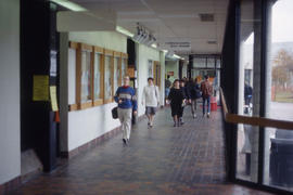 Photograph of the the main hallway in front of D building