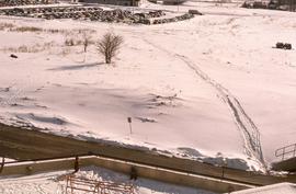 Snowy scene with partial view of daycare : [photograph]