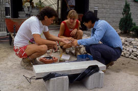 Photograph of Landscaping Students Working Outside the Greenhouse
