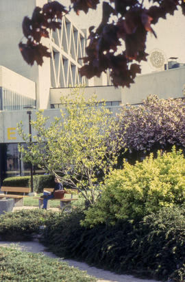 A photograph of a student sitting on a bench outside Building E