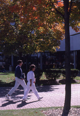 Photograph of pedestrians on the walkway to the registration entrance
