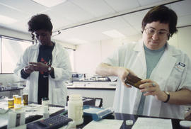 Photograph of Pharmacy Assistant students at work