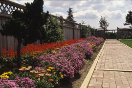 Photograph of Flowers From the Demonstration Gardens