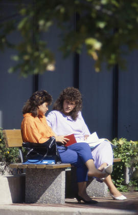 Photograph of students conversing on a bench outside the Humber Room