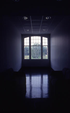 Photograph of a view of the outdoors from the window of one of the renovated cottages