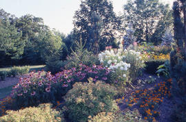 Photograph of landscaped gardens in the arboretum