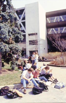 A photograph of students sitting outdoors