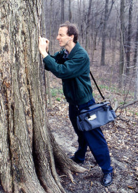 Photograph of Gary Gellert with a stethoscope on a tree