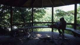 Photograph of bicyclists in the Arboretum gazebo